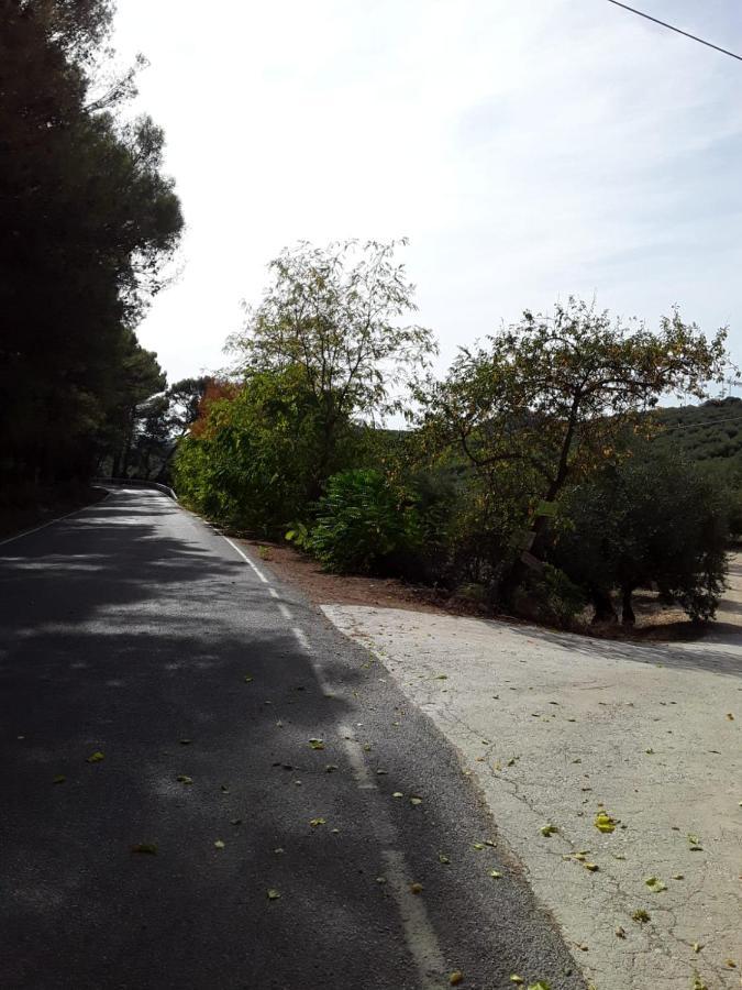 Hacienda La Buena Vida B&B En Appartementen Algarinejo Ngoại thất bức ảnh