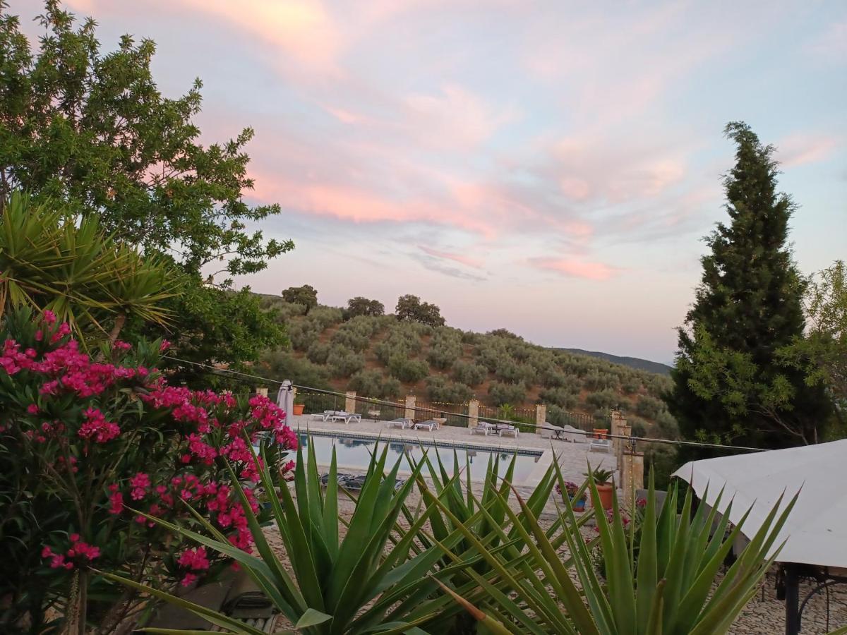 Hacienda La Buena Vida B&B En Appartementen Algarinejo Ngoại thất bức ảnh